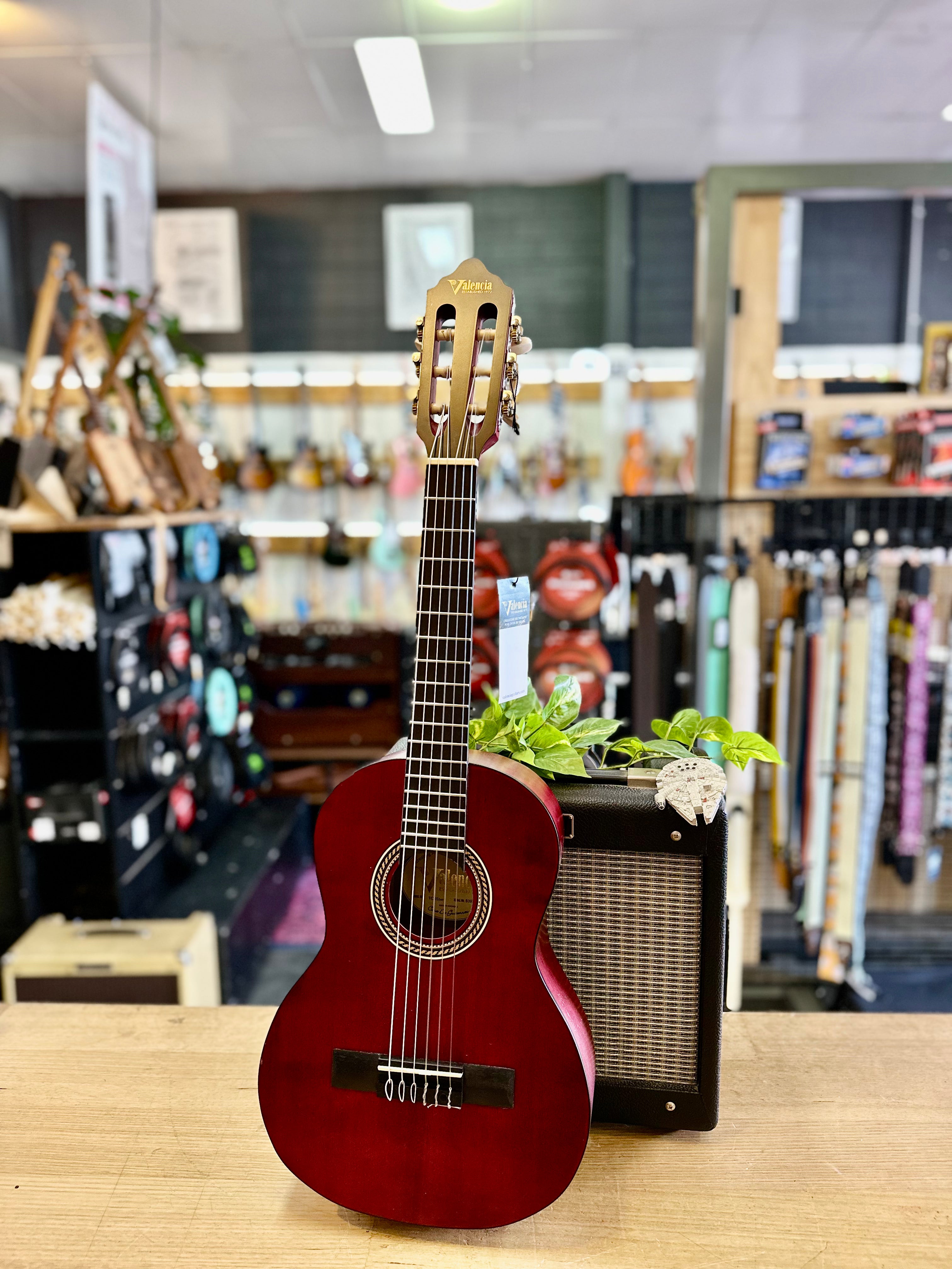 Valencia | VC201 | 1/4 Size | Student Guitar | Transparent Wine Red Valencia | VC201 | 1/4 Size | Student Guitar | Transparent Wine Red